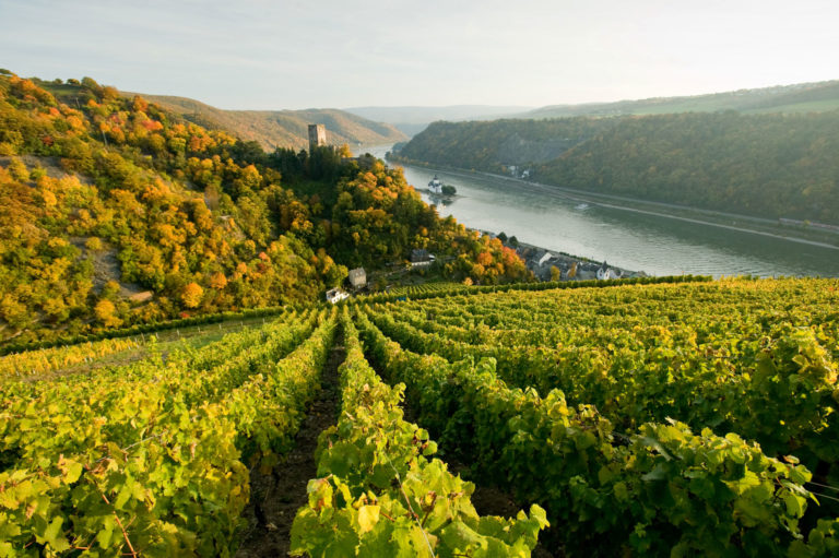 Romantic Rhine Valley. Photo: Rheinland-Pfalz Tourismus